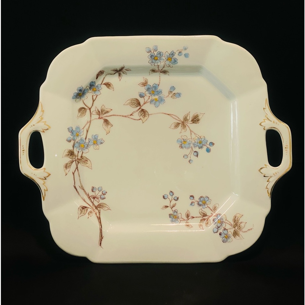 Antique B.S.M.HandPainted Bohemian Bone China Cake Serving Platter Tray Austria